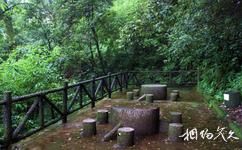 武定獅子山旅遊攻略之獅子山上