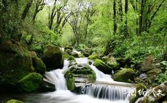 安康化龍山國家級自然保護區旅遊攻略之瀑布群