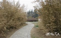 中科院北京植物园旅游攻略之植物园