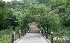 志丹九吾山森林公园旅游攻略之森林
