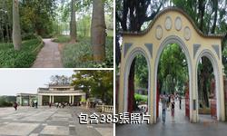 佛山中山公園驢友相冊