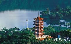 深圳仙湖植物园旅游攻略之龙尊塔