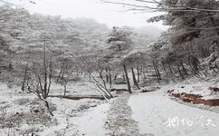 綦江古劍山清溪河旅遊攻略之雪景