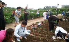 黑龍江農業經濟職業學院芍菊古苑旅遊攻略之農事活動