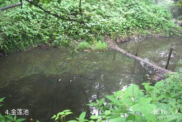 什邡蓥华山风景区-金莲池照片