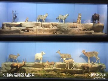 青藏高原自然博物館-動物展廳照片