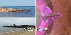 北戴河碧螺塔酒吧公園驢友相冊