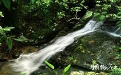 錢江源國家森林公園旅遊攻略之彎月瀑