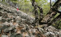 黑龙江喀尔喀山旅游攻略之石瀑