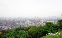 溫州黃龍山公園旅遊攻略之風景