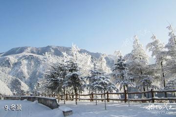 安康化龙山国家级自然保护区-冬景照片