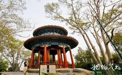 北京景山公园旅游攻略之富览亭