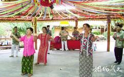 兴隆亚洲风情园旅游攻略之东南亚歌舞表演