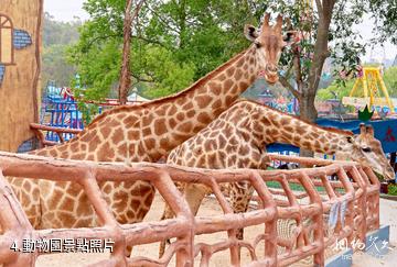 潮州綠太陽景區-動物園照片