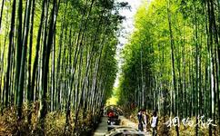 臨沂蒙山旅遊攻略之翠竹園