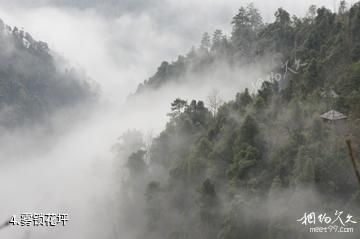 广西花坪国家级自然保护区-雾锁花坪照片