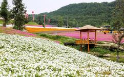 萬州鳳凰花果山旅遊攻略之花園