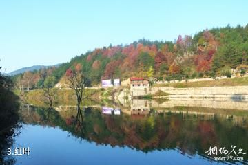 岳西天峡风景区-红叶照片