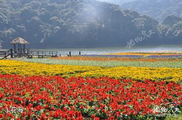 广州从化石门国家森林公园-花海照片