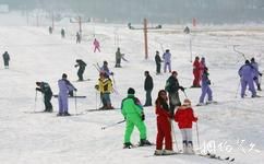 内蒙古阿尔山滑雪场旅游攻略之简易拖牵
