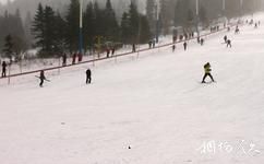 黑龙江中国雪乡旅游攻略之滑雪场