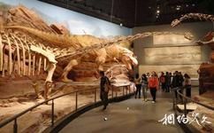 云南澄江化石地自然博物馆旅游攻略之博物馆