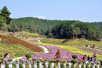 麻城五脑山国家森林公园-麻城菊花文化旅游节照片