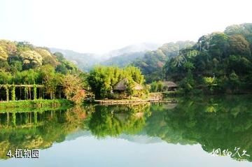 夏津黄河故道森林公园-植物园照片