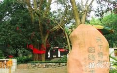 良凤江国家森林公园旅游攻略之菩提大观园