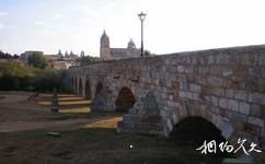 西班牙薩拉曼卡老城旅遊攻略之羅馬拱橋