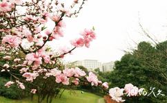 重慶江北鴻恩寺公園旅遊攻略之鴻恩春曉