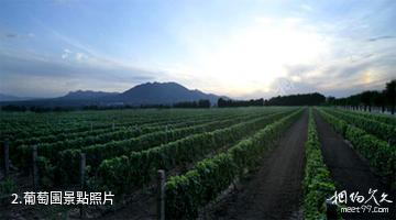 中國長城葡萄酒工業旅遊區-葡萄園照片