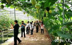 萬州同鑫蔬菜大觀園旅遊攻略之瓜果文化長廊