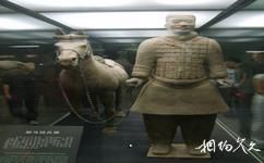 西安秦始皇兵馬俑博物館旅遊攻略之騎兵俑