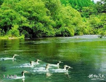 黑龙江凉水自然保护区-人工湖照片