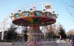 濰坊寶瑞富華遊樂園旅遊攻略之颶風飛椅