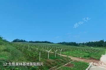 平昌駟馬水鄉旅遊區-生態果林基地照片