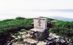 湖南壶瓶山国家级自然保护区旅游攻略之山峰