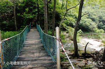 海陽招虎山國家森林公園-小弔橋照片