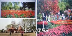 西安植物園驢友相冊