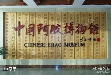 中国阿胶博物馆-1序厅照片