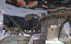 遂寧中華侏羅紀公園旅遊攻略之博物館