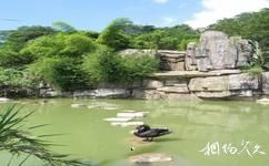 福州动物园旅游攻略之天鹅湖