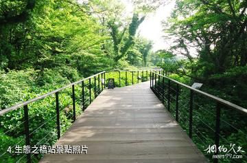 濟州島EcoLand生態主題公園-生態之橋站照片