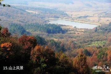 池州大历山风景区-山上风景照片