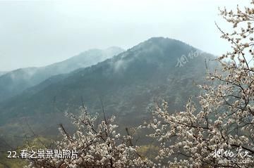 三門峽甘山國家森林公園-春之景照片