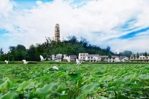 四川达州开江旅游攻略-八庙镇景点排行榜