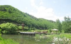 黑龍江鳳凰山國家級自然保護區旅遊攻略之濕地