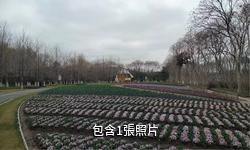 上海閔行體育公園驢友相冊