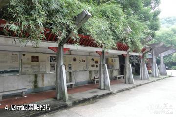 湖南西漢長沙王室墓-展示廊照片